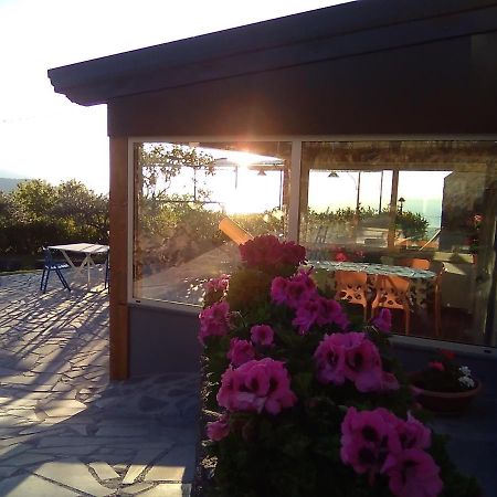 Seacily Etna House Villa Piedimonte Etneo Ngoại thất bức ảnh