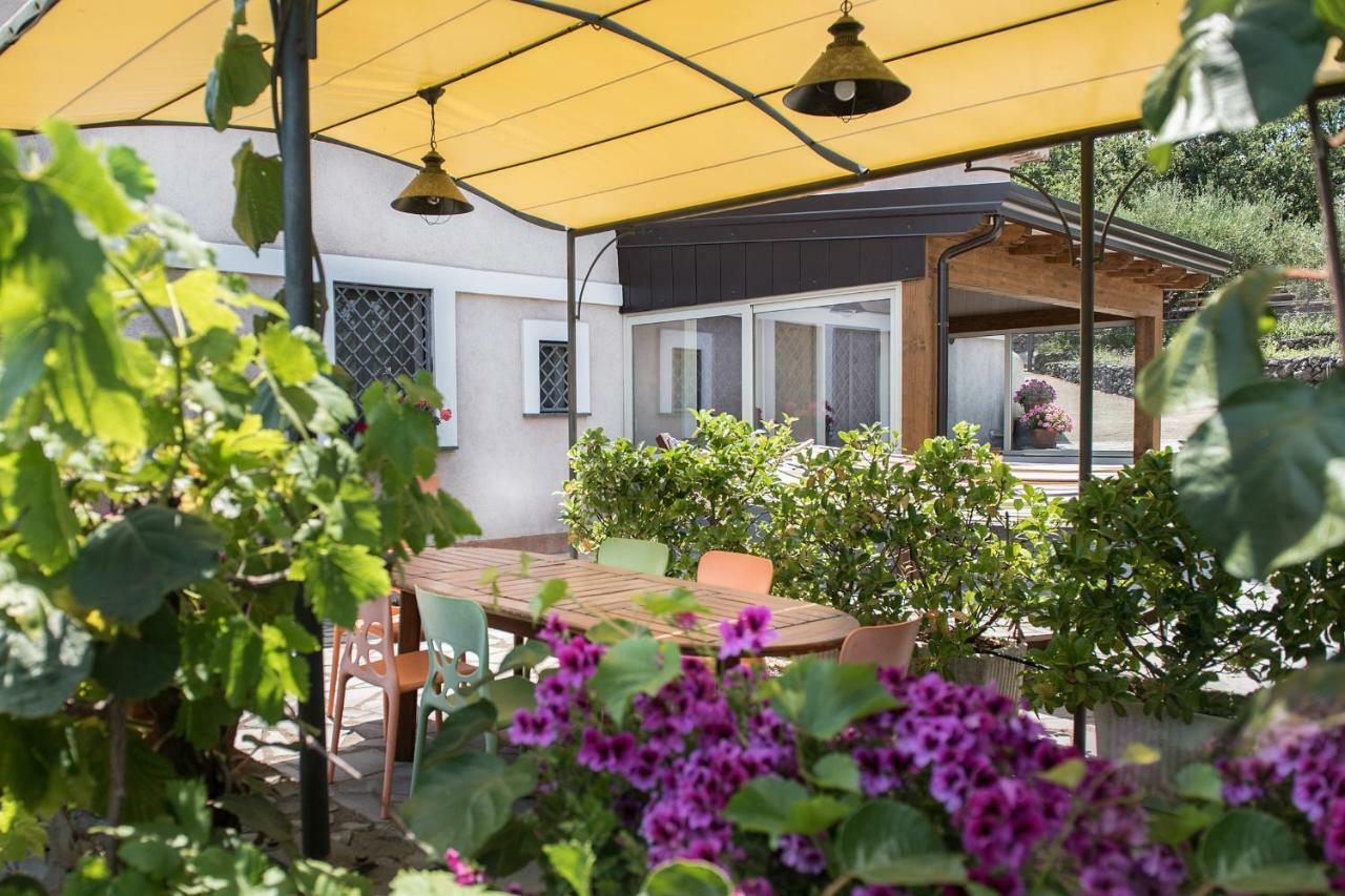 Seacily Etna House Villa Piedimonte Etneo Ngoại thất bức ảnh